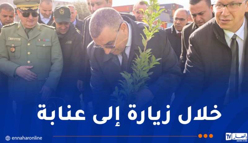 جلاوي يشارك في الحملة الوطنية لغرس 5 ملايين شجرة