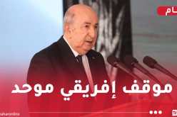 رئيس الجمهورية: التدخلات الخارجية غير المشروعة تؤجج عدم الاستقرار في قارتنا