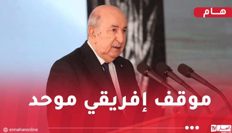 رئيس الجمهورية: التدخلات الخارجية غير المشروعة تؤجج عدم الاستقرار في قارتنا