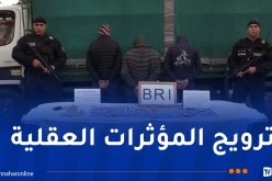 تيبازة.. الإطاحة بـ 4 شبكات إجرامية وضبط قرابة 40 ألف قرص مهلوس