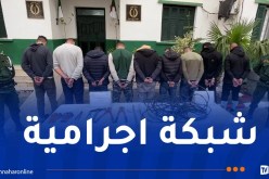 بومرداس.. توقيف 9 أشخاص يحترفون سرقة الكوابل النحاسية