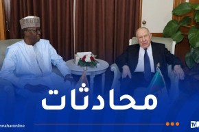 الفريق أول شنڨريحة يجري محادثات مع نظيره النيجري