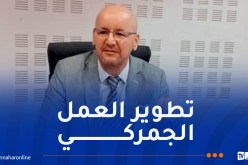 الجمارك الجزائرية تترأس الدورة الـ20 للجنة التدقيق بمنظمة الجمارك العالمية