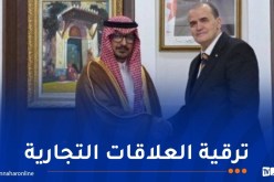 رزيق يتباحث سبل تعزيز التعاون والإستثمار مع السفير السعودي