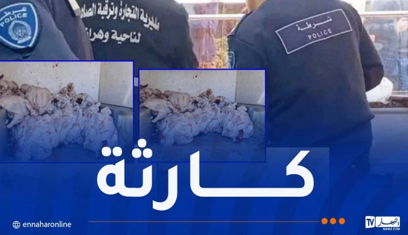 شرطة وهران تحجز قرابة 6 قناطير من اللحوم الفاسدة