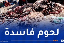 غرداية: حجز وإتلاف كمية معتبرة من اللحوم غير المطابقة ببريان