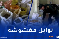 درك سطيف يكتشف ورشة سرية لصناعة التوابل ويحجز أكثر من 18 قنطاراً