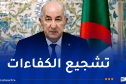 رئيس الجمهورية: تكريس قيمة الجهد والعمل كمحرك لمسارات التنمية المستدامة في البلاد