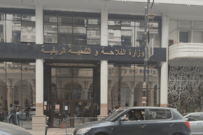 وزارة الفلاحة: إجراءات هامة تحسُّبًا لشهر رمضان