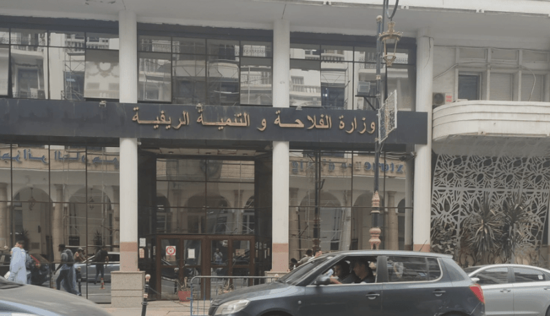 وزارة الفلاحة: إجراءات هامة تحسُّبًا لشهر رمضان