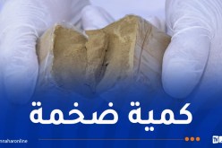 تفكيك شبكة إجرامية وحجز قنطار كيف معالج مصدره المغرب!