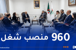 المجمع التركي “HAYAT DHC” يُصنع المنتجات الورقية بالجزائر
