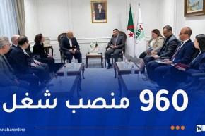 المجمع التركي “HAYAT DHC” يُصنع المنتجات الورقية بالجزائر