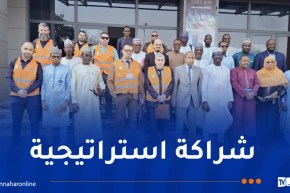 سونلغاز: فريق تقني يحلّ بنيامي لإطلاق مشروع محطتي إنتاج الكهرباء بالنيجر