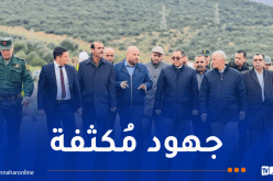 خرجات ميدانية لمراقبة إنجاز مشروع الخط المنجمي الشرقي