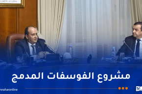 الوزير الأول يترأس اجتماعًا للمجلس الوزاري المشترك