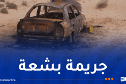 الوادي.. القبض على المشتبه بهم في جريمة قتل شخص وحرق سيارته