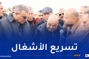 جلاوي يُعاين مشروع الخط المنجمي الشرقي بالطارف