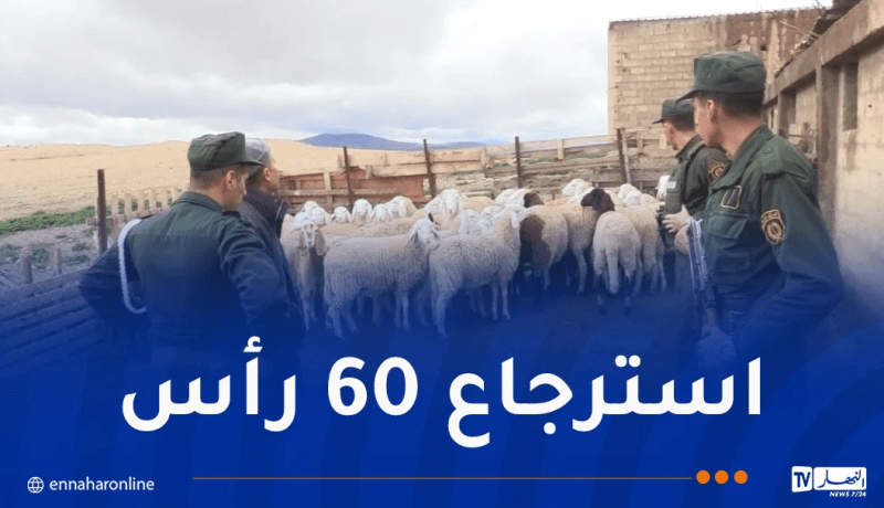 برج بوعريريج.. تفكيك شبكة إجرامية لسرقة المواشي