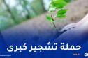 غرس 5 ملايين شجرة يوم 14 فيفري