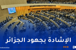 الاتحاد الإفريقي يعتمد قرارا يصنف الرق والترحيل والاستعمار كجرائم ضد الإنسانية