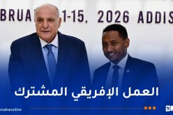عطاف يحل بأديس أبابا للمشاركة في أشغال المجلس التنفيذي للاتحاد الإفريقي
