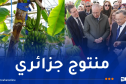 وزير التعليم العالي يعاين المحطة الفلاحية البيوتكنولوجية لإنتاج شتلات الموز