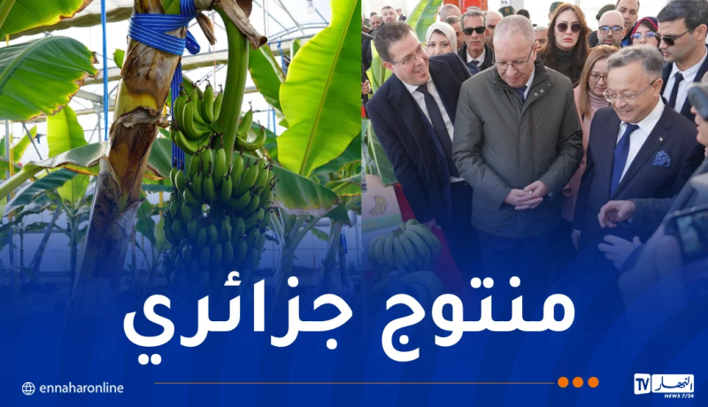 وزير التعليم العالي يعاين المحطة الفلاحية البيوتكنولوجية لإنتاج شتلات الموز