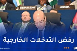 شايب يُؤكد تضامن الجزائر الثابت مع السودان والصومال