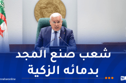 بوغالي: دماء الشهداء كانت بذرةً لميلاد دولة عصرية ومُنتصره