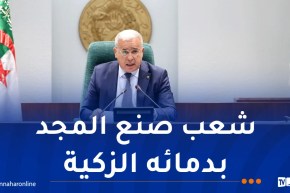 بوغالي: دماء الشهداء كانت بذرةً لميلاد دولة عصرية ومُنتصره