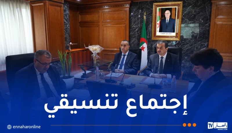 طاقة ومناجم.. أوامر بتسريع وتيرة إنجاز هذه المشاريع