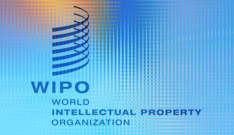 مكتب “الويبو” بالجزائر يشيد بجهود الجزائر في دعم المؤسسات الصغيرة والمتوسطة