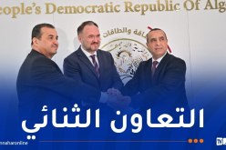 الجزائر والاتحاد الأوروبي..شراكة استراتيجية في مجال الطاقة
