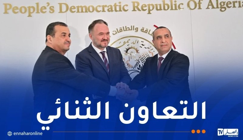 الجزائر والاتحاد الأوروبي..شراكة استراتيجية في مجال الطاقة