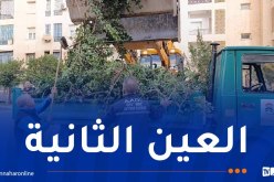 دحماني..جاست ايمو تتعامل مع أكثر من 300 مؤسسة ناشئة والجمعيات شريك أساسي