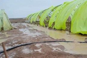 وزارة الفلاحة تشرع في إحصاء خسائر الفلاحين والمربين المتضررين