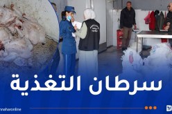 حجز أكثر من 900 كلغ لحوم بيضاء فاسدة بالبليدة