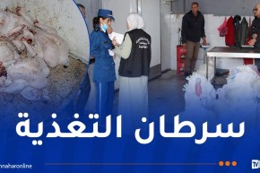 حجز أكثر من 900 كلغ لحوم بيضاء فاسدة بالبليدة