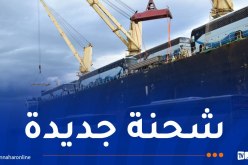 وزارة الدفاع تستلم شحنة جديدة من الحافلات المستوردة