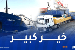 استمرار وصول الأغنام المستوردة إلى العاصمة