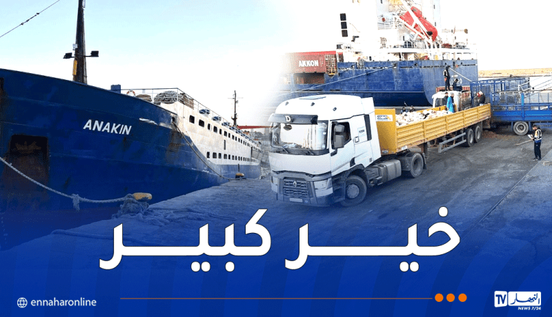 وصول شحنة جديدة من الأغنام المستوردة إلى ميناء الجزائر