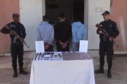 بشار.. الاطاحة بشبكة لترويج المخدرات والمهلوسات 