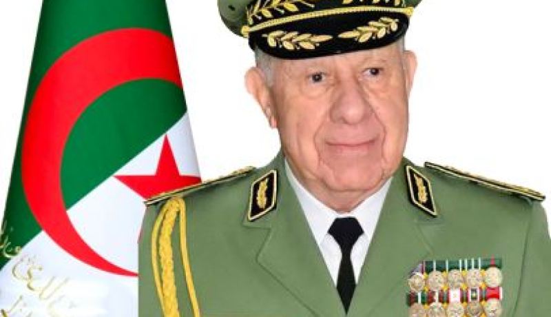 شنقريحة: الجزائر تواصل تعزيز آليات المسعى القاري للقضاء على الإرهاب والتطرف العنيف