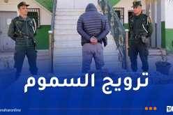 تندوف: توقيف شخص وحجز 13500 قرص مهلوس على متن سيارة سياحية