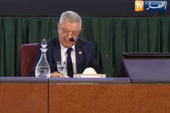 ناصري: التعديل التقني للدستور يشكل انطلاقة لعهد جديد لمؤسسات أكثر انسجاما وتماسكا