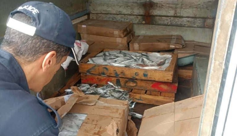 غليزان.. حجز وإتلاف أزيد من قنطار ونصف من الأسماك الفاسدة
