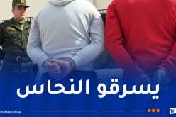 عنابة: وضع حد لنشاط جماعة إجرامية سرقت كوابل وتسببت في تخريب شبكة الإتصالات