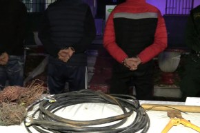 عنابة..تفكيك شبكة إجرامية مختصة في سرقة الكوابل النحاسية