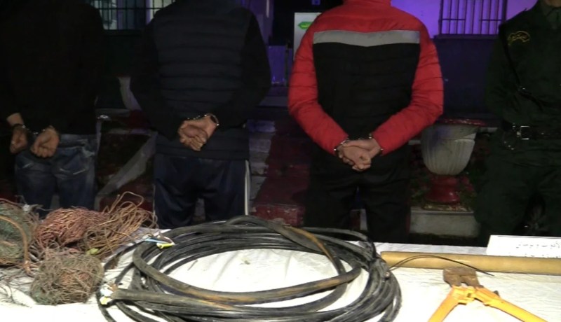 عنابة..تفكيك شبكة إجرامية مختصة في سرقة الكوابل النحاسية